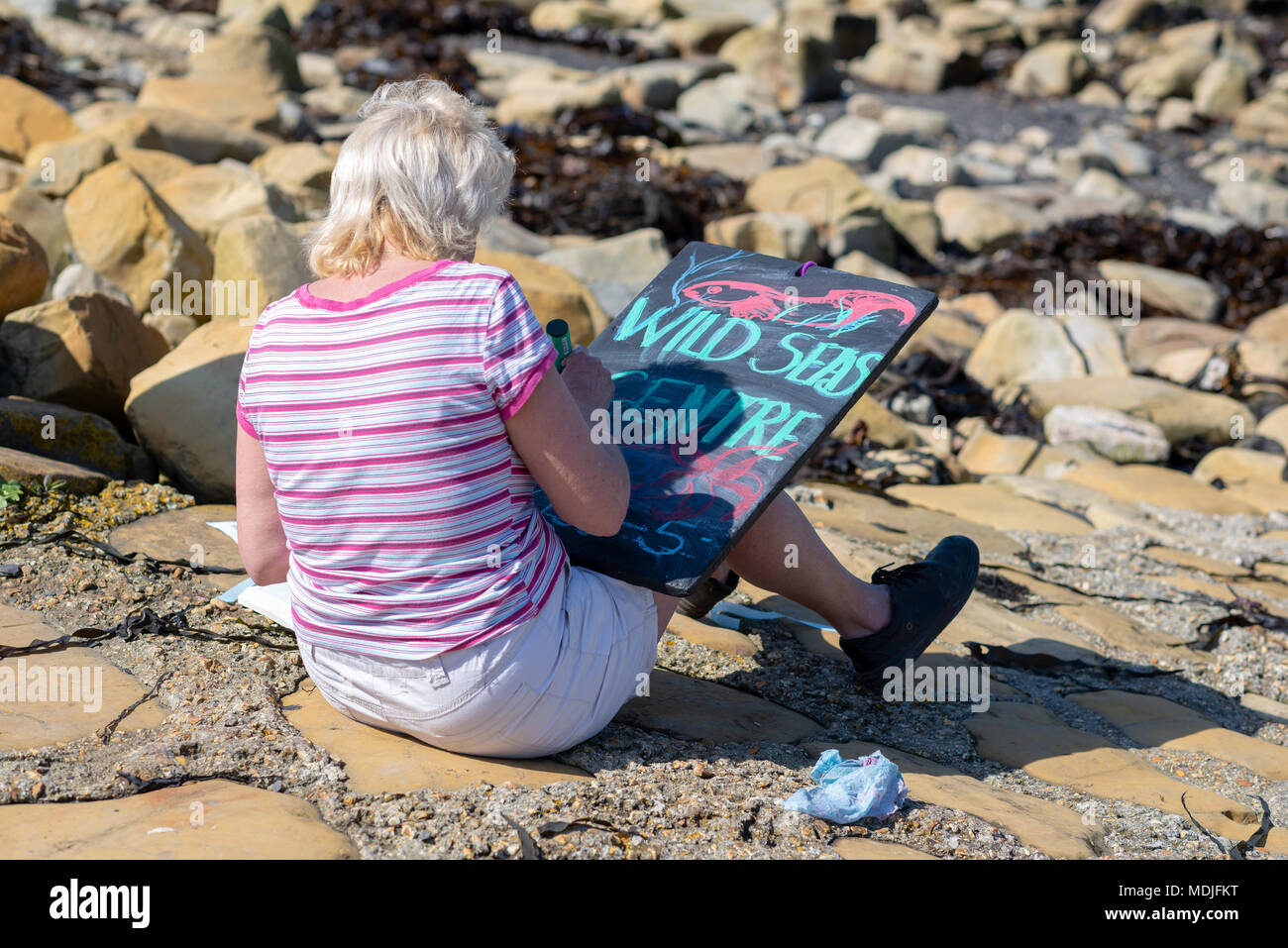 Woman sitting on rocks writing on a chalk board for the Wild Seas Centre at Kimmeridge Bay, Dorset, UK Stock Photo