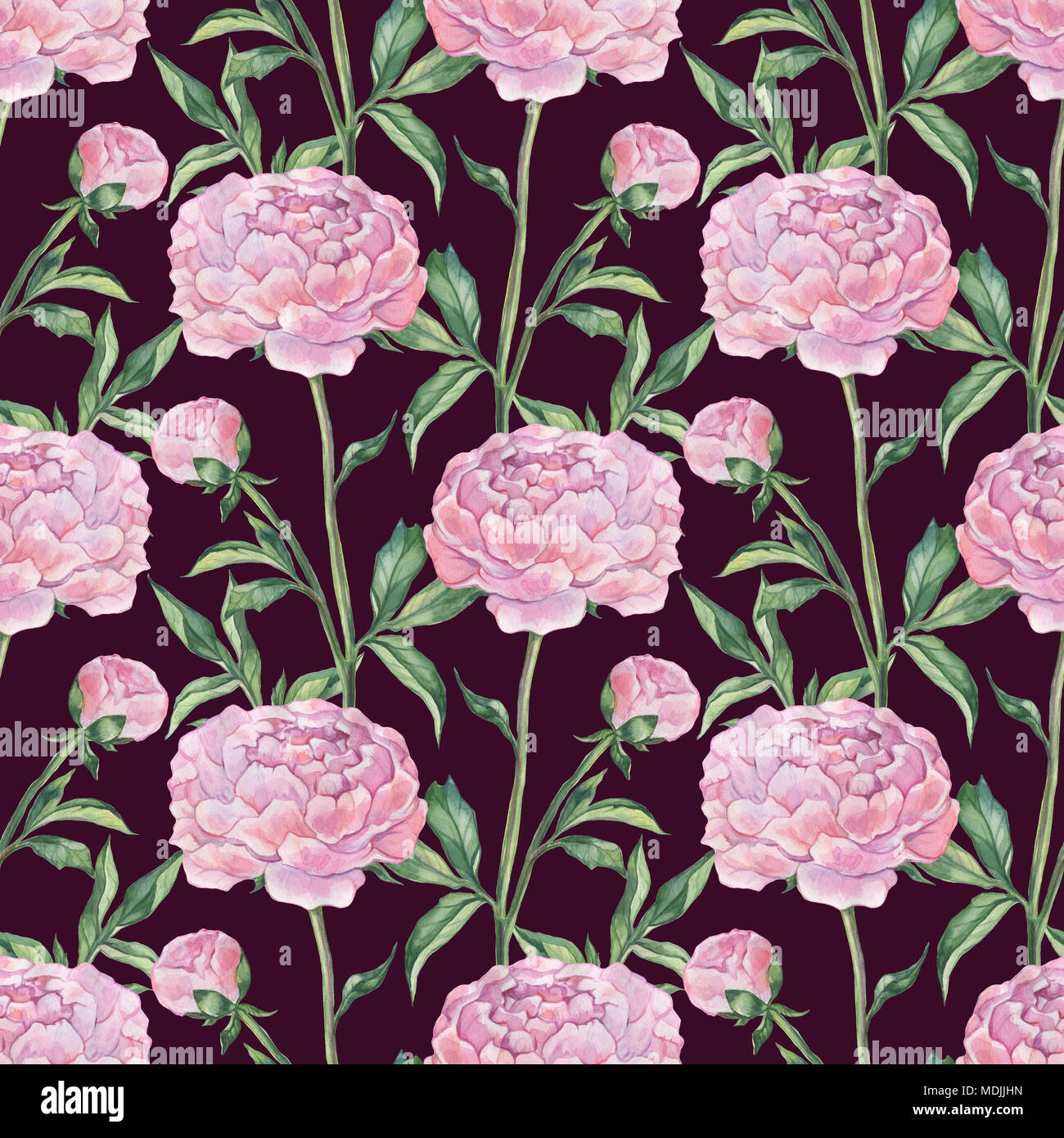Hand Drawn seamless pattern of Peonies Stock Photo - Alamy