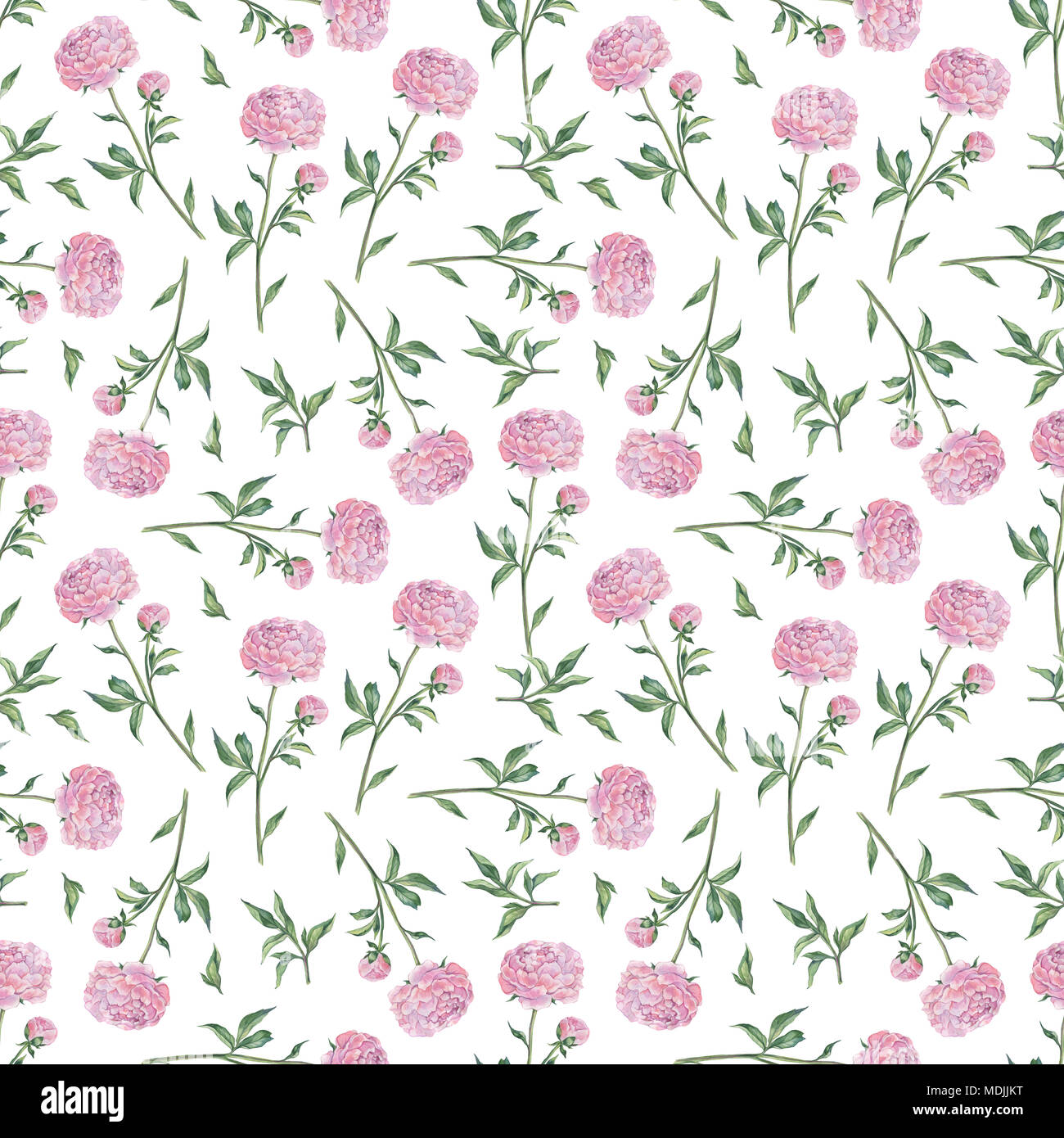 Hand Drawn seamless pattern of Peonies Stock Photo - Alamy