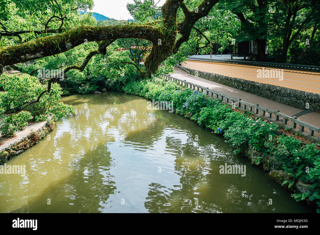 Dazaifu Tenmangu shrine nature view in Fukuoka, Japan Stock Photo - Alamy