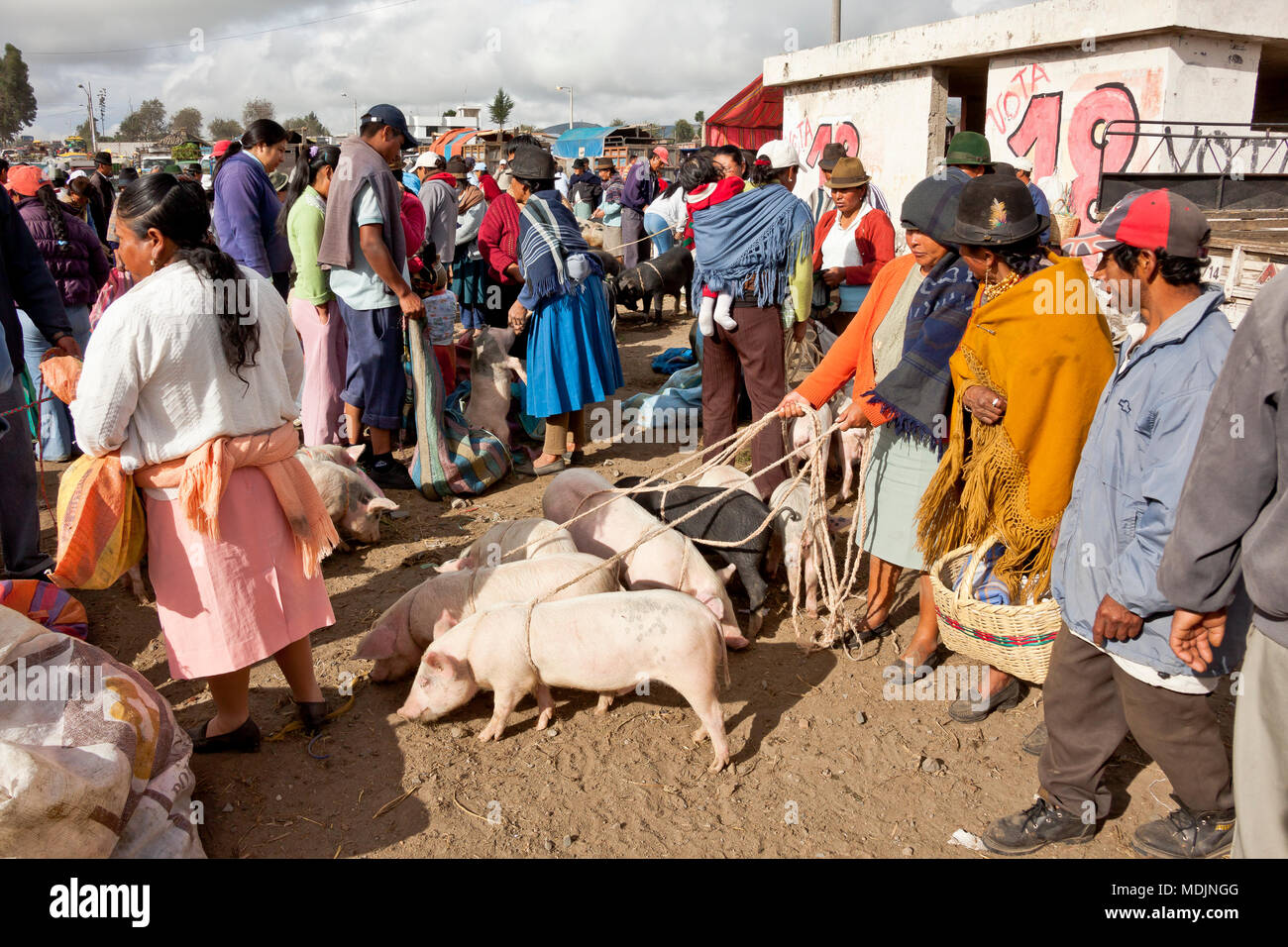 Animal market in Saquisilí, barter and cash are used Stock Photo
