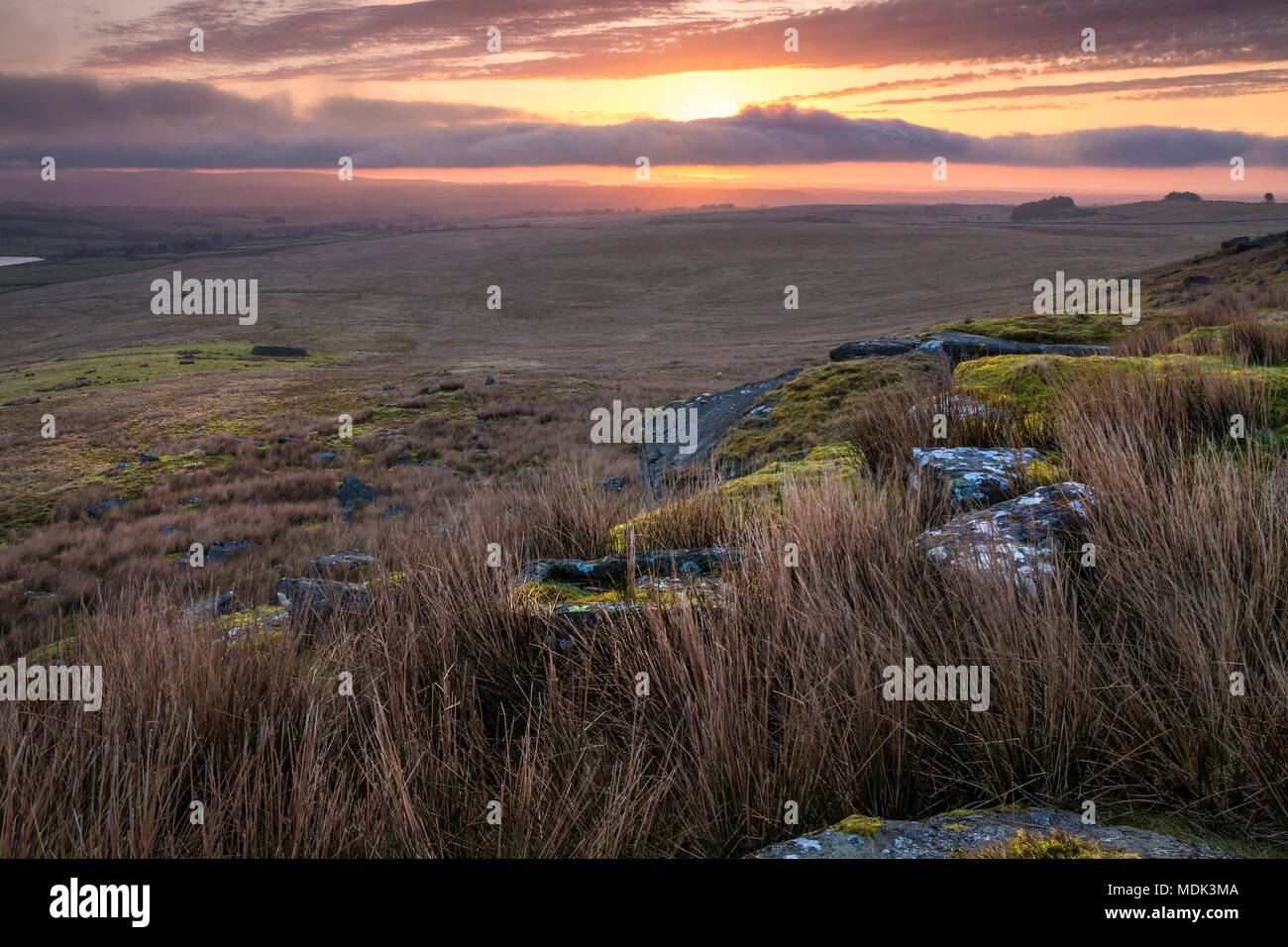 Goldsborough hires stock photography and images Alamy