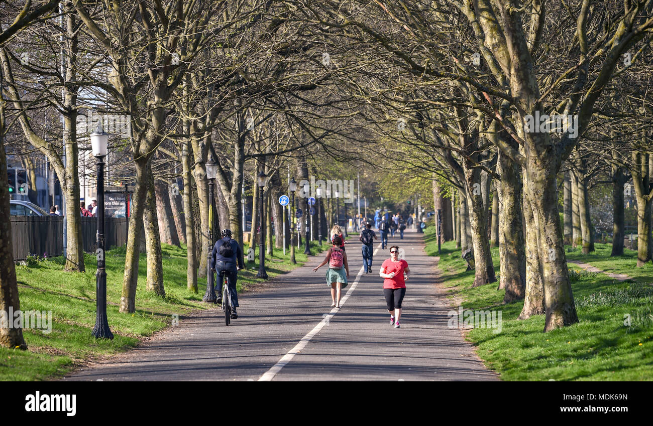 Early spring cooler hi-res stock photography and images - Alamy