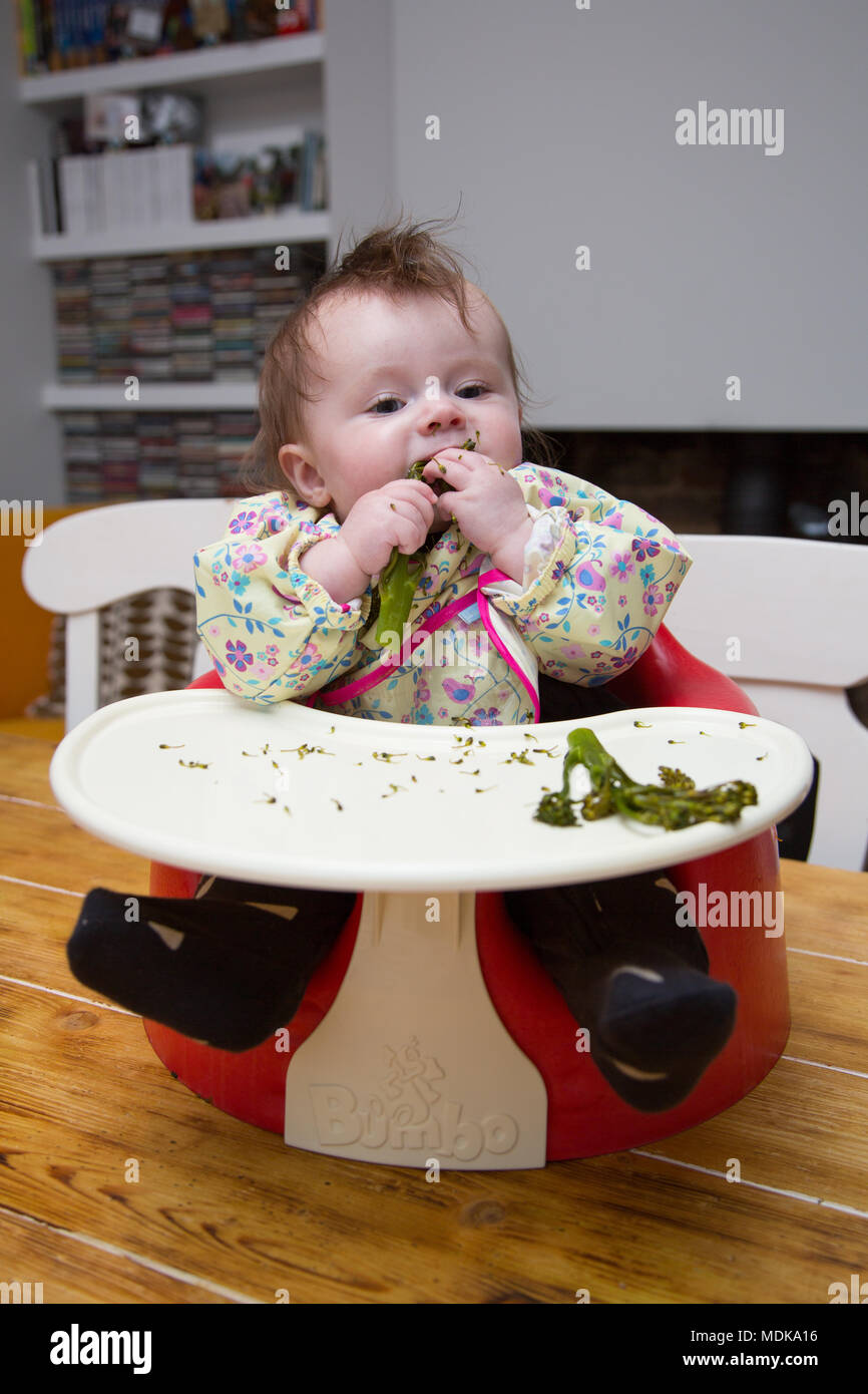 6 month old baby girl baby led weaning Stock Photo - Alamy