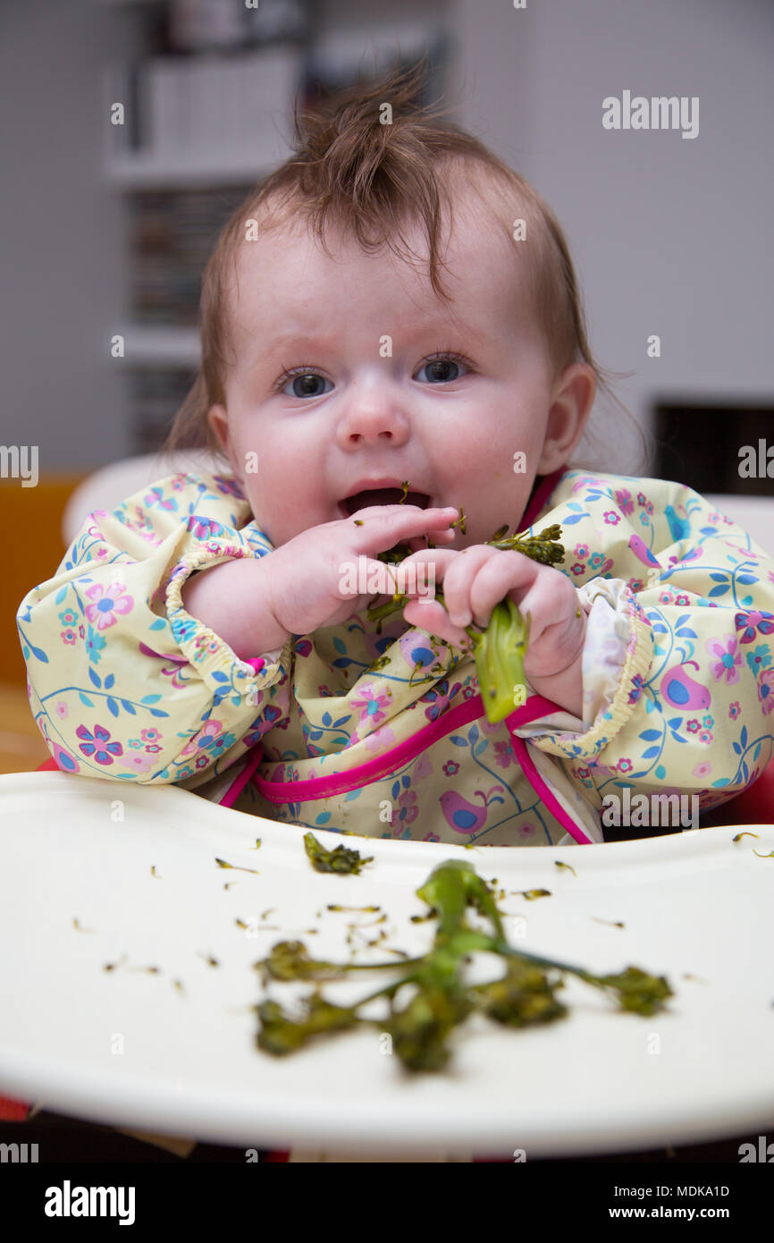6 month old baby girl baby led weaning Stock Photo - Alamy