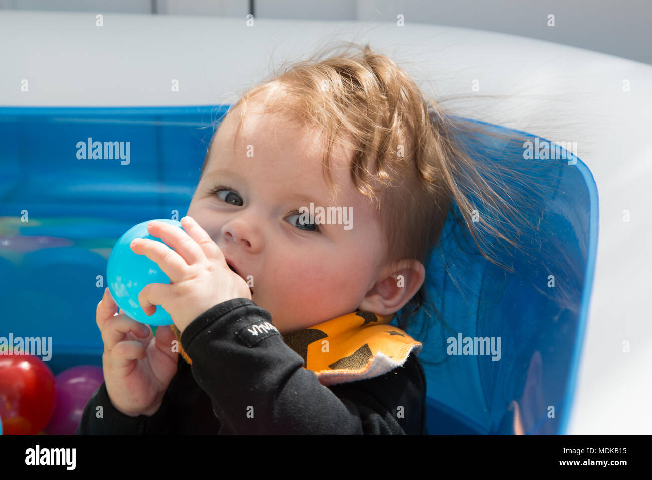 Baby In Ball Pit Stock Photo Alamy