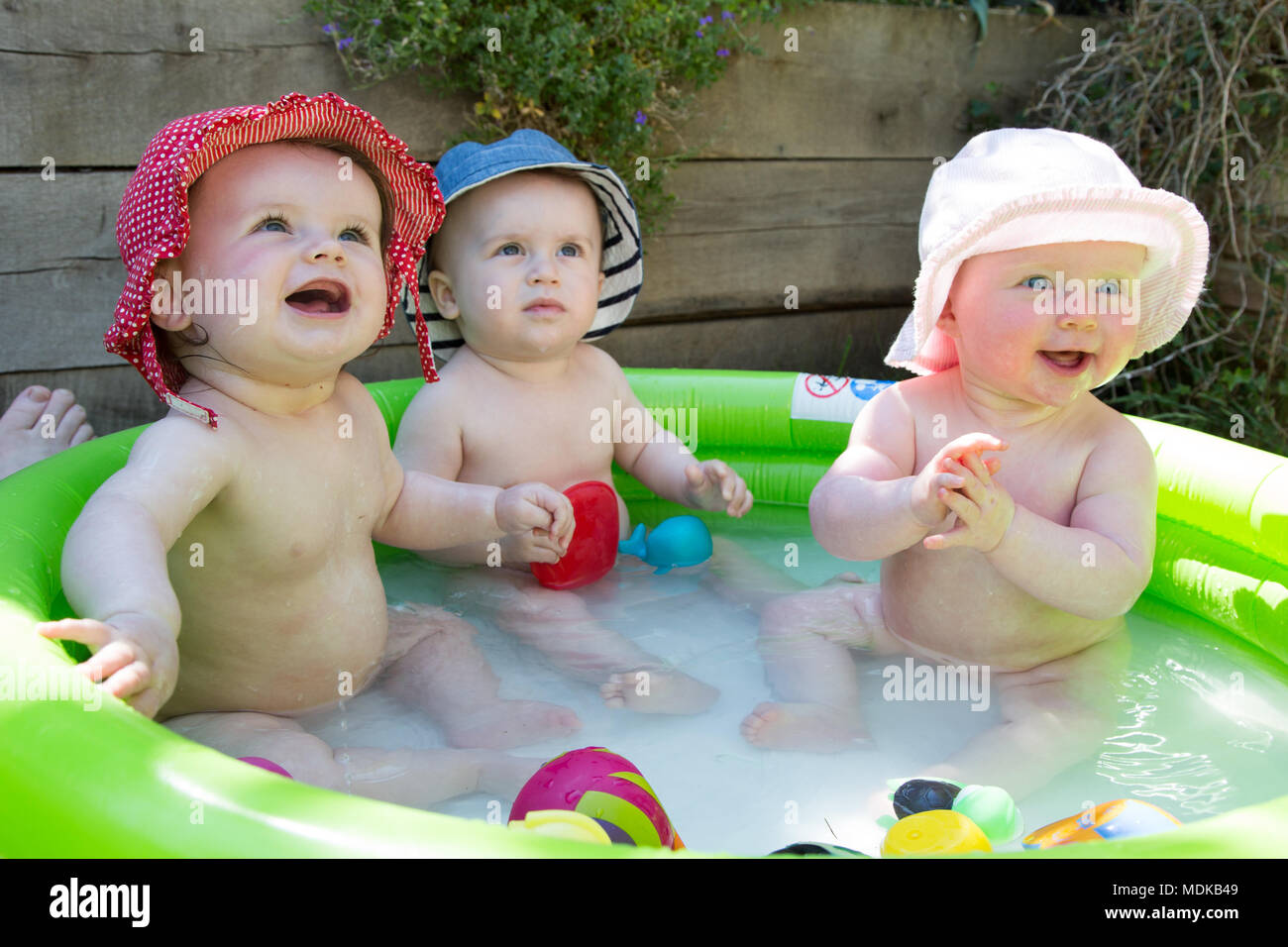 Babies in a paddling pool Stock Photo Alamy