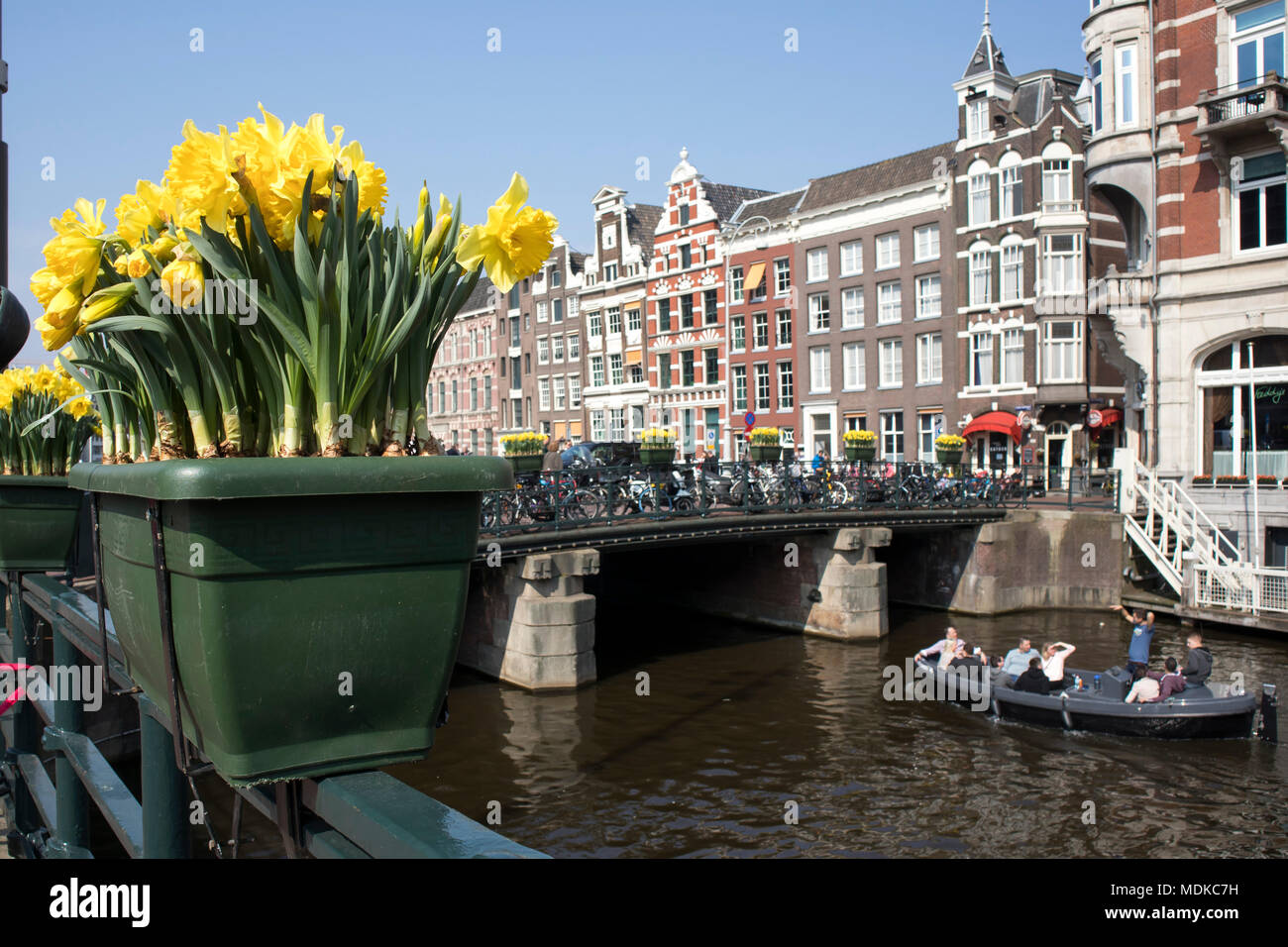 Amsterdam, Holland - 14 April 2018 The annual festival of spring flowers flowing in the streets of Amsterdam Stock Photo