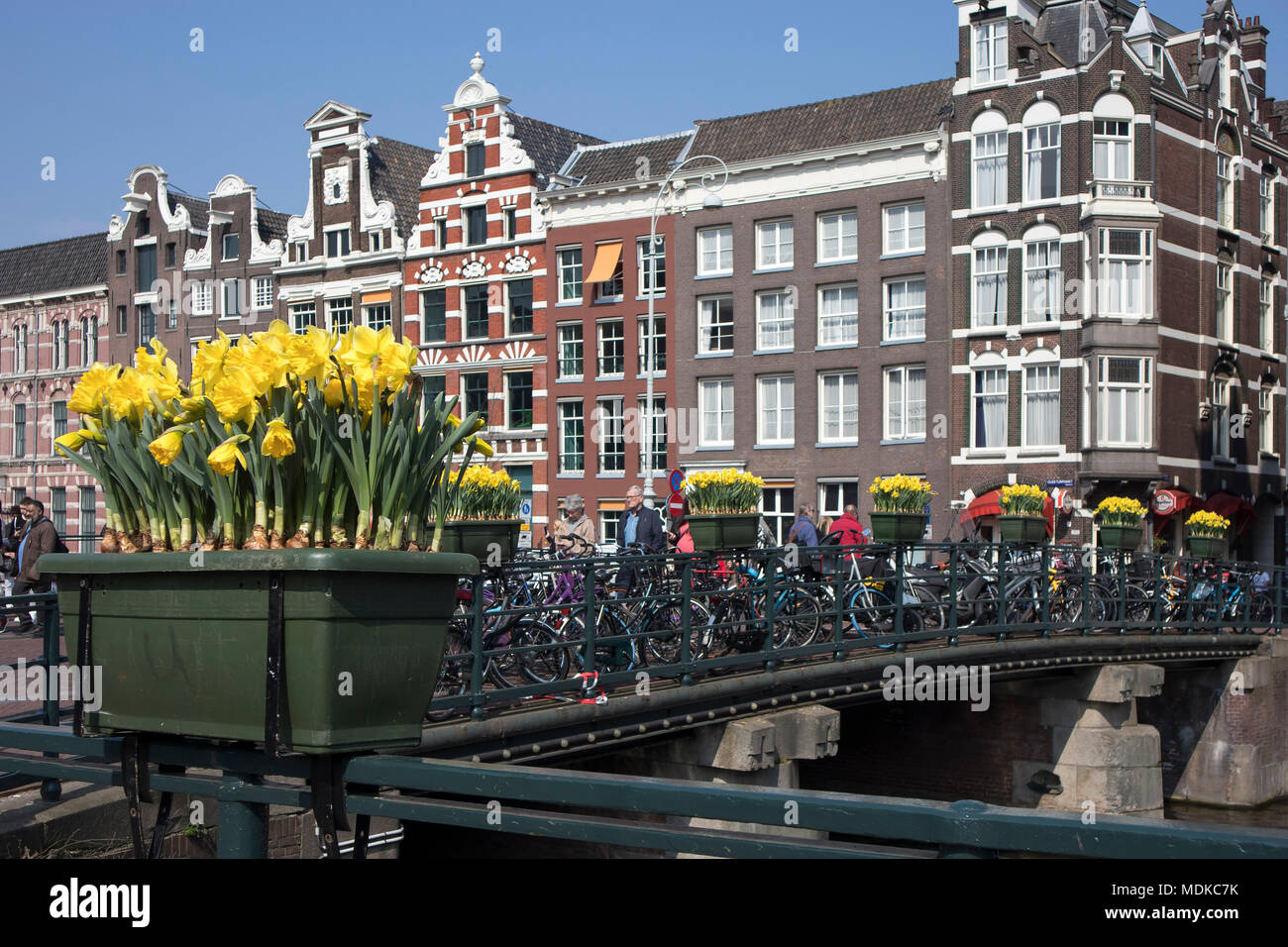 Amsterdam, Holland - 14 April 2018 The annual festival of spring flowers flowing in the streets of Amsterdam Stock Photo
