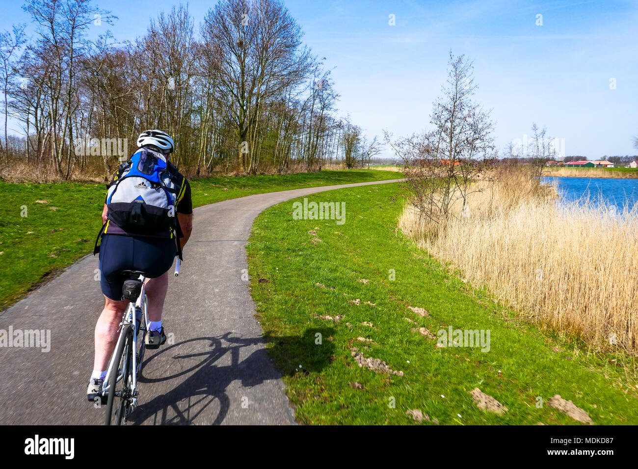 cyclist at small cyclepath in Hoeksche Waard, Holland Stock Photo
