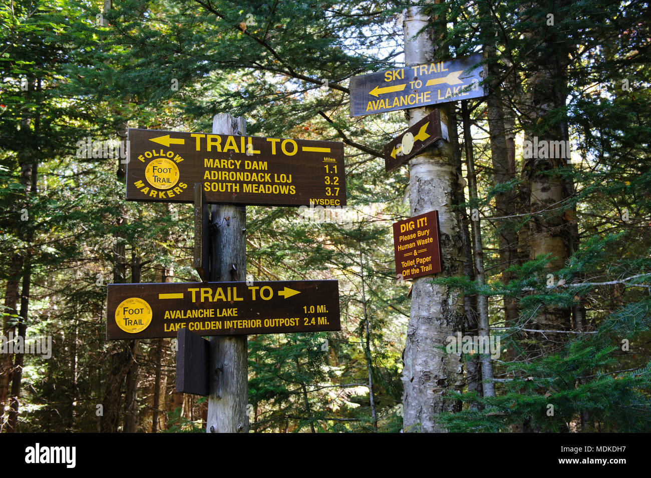 Wooden Directional Signs Pointing To Hiking Trails In The Adirondack Wooden Directional Signs Pointing To Hiking Trails In The Adirondack