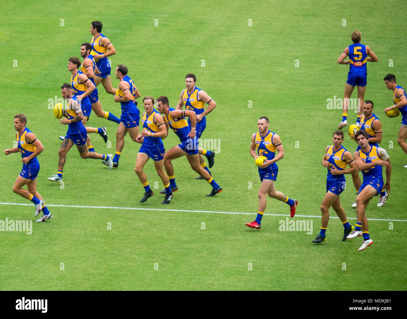 West Coast Eagles team on the field of the new Optus Stadium, Perth, WA