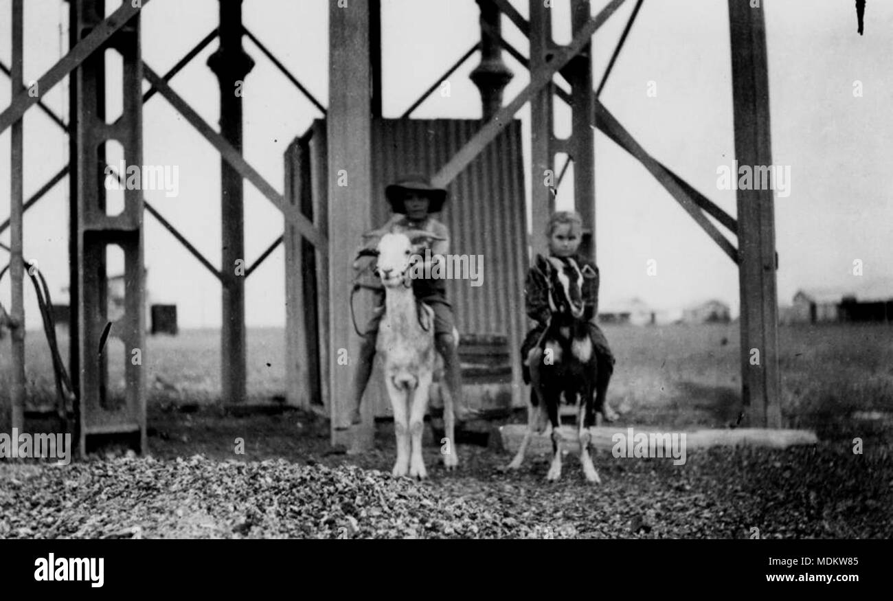 Children at Julia Creek riding billy goats - 1911 Stock Photo - Alamy