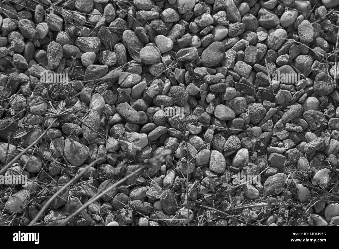 Stone texture, rock surface level, pebble background for web site or mobile devices. Stock Photo