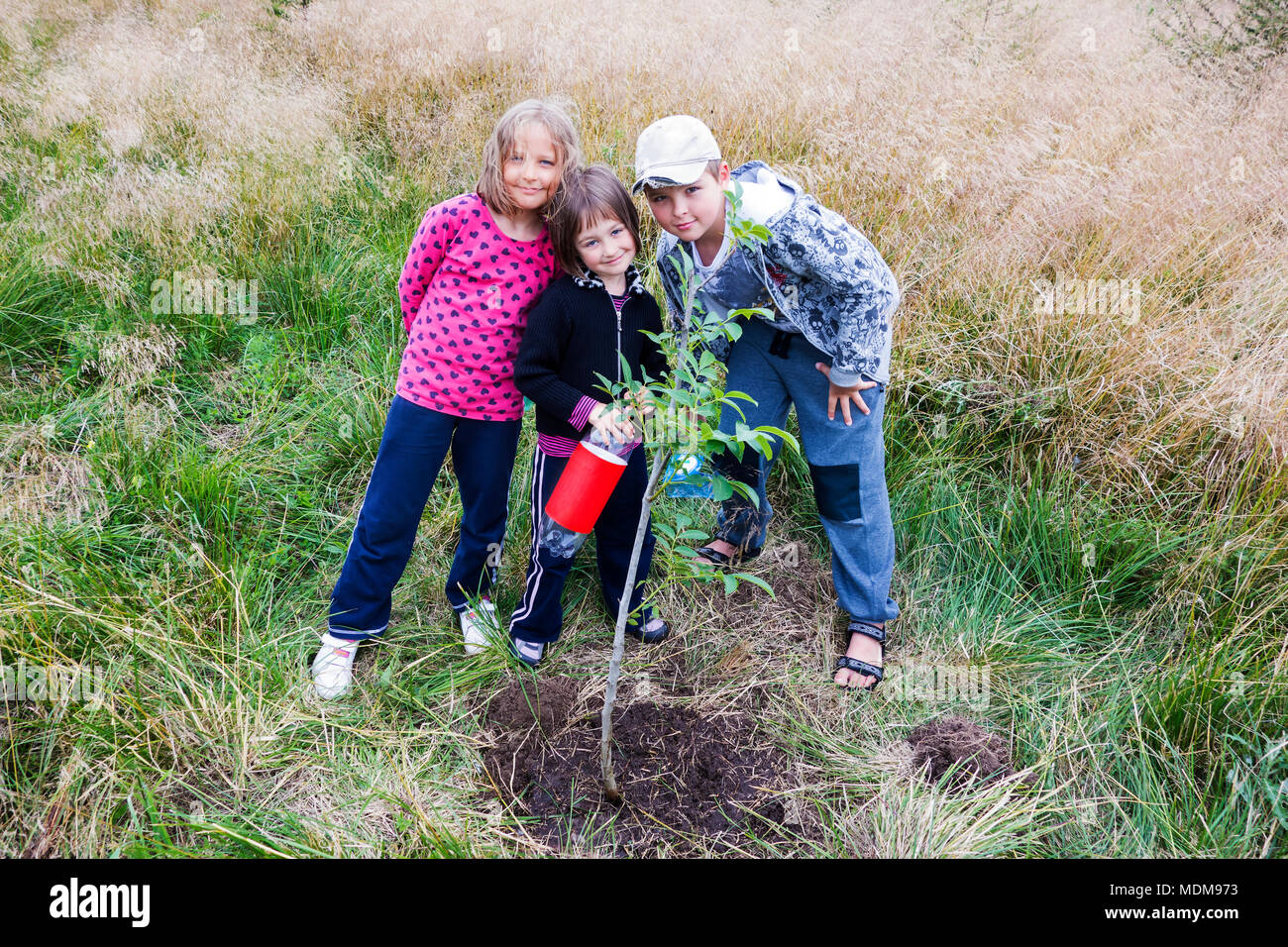 Three children watering new planted walnut tree. Stock Photo