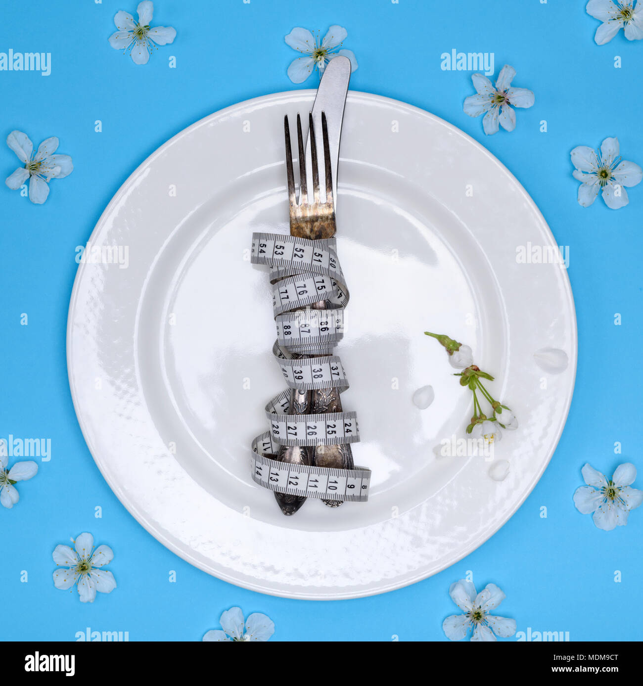 a fork with a knife wrapped in a measuring tape lie on a white round ceramic plate, a blue background strewn with white cherry blossoms, a top view Stock Photo