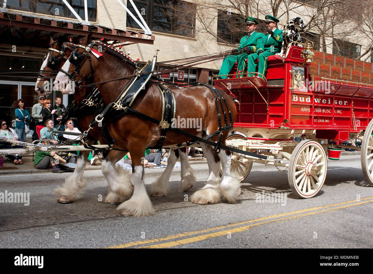 Clydesdales Stock Photos &amp; Clydesdales Stock Images - Alamy