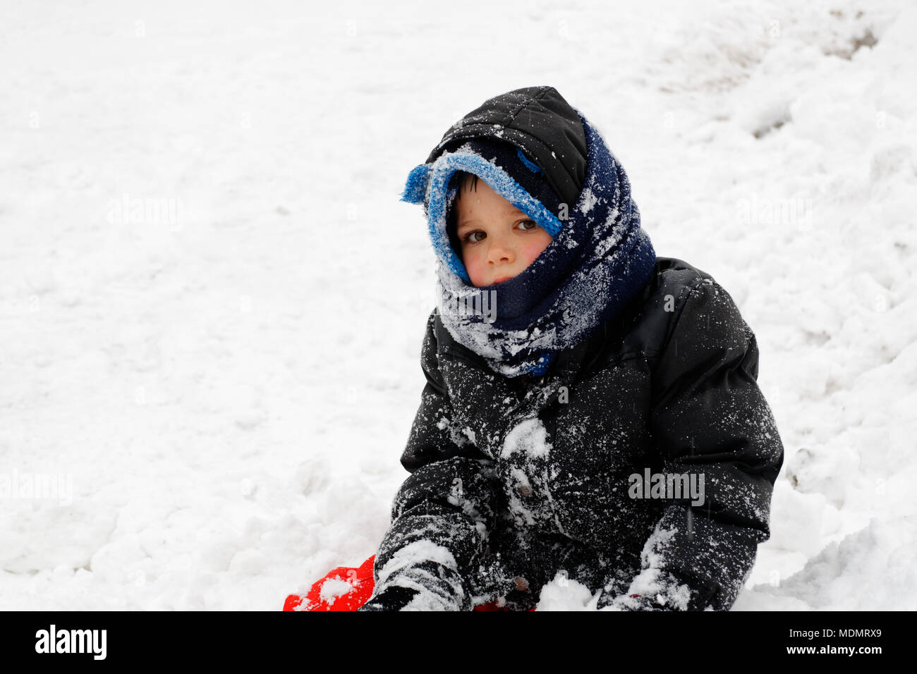 A portrait of a young boy (5 yr old) dressed in outdoor winter clothes and covered in snow Stock Photo