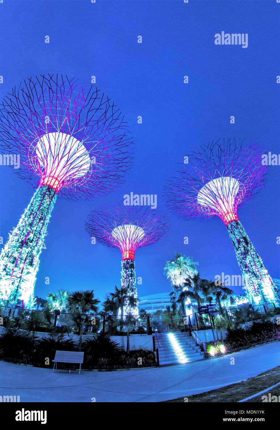 Tree Like Structures High Resolution Stock Photography And Images Alamy