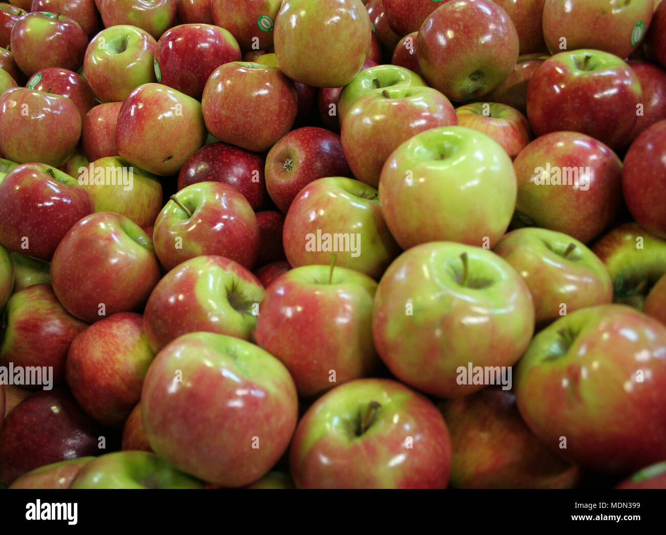 Apples for sale at Flemington markets, Sydney, NSW, Australia Stock