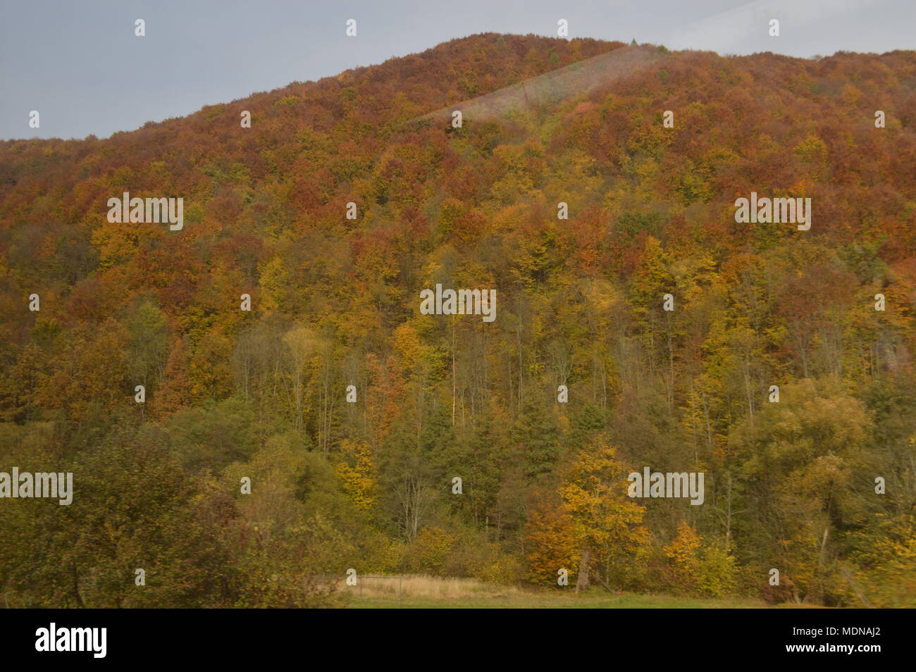 Autumn mountains, forest, National Park Stock Photo