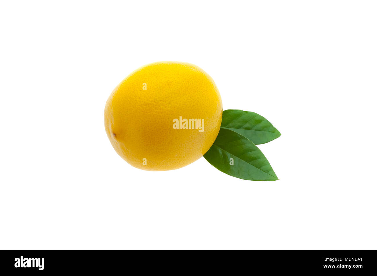 Creative layout made of lemon and leaves. Flat lay. Food concept. Lemon on white background. Stock Photo