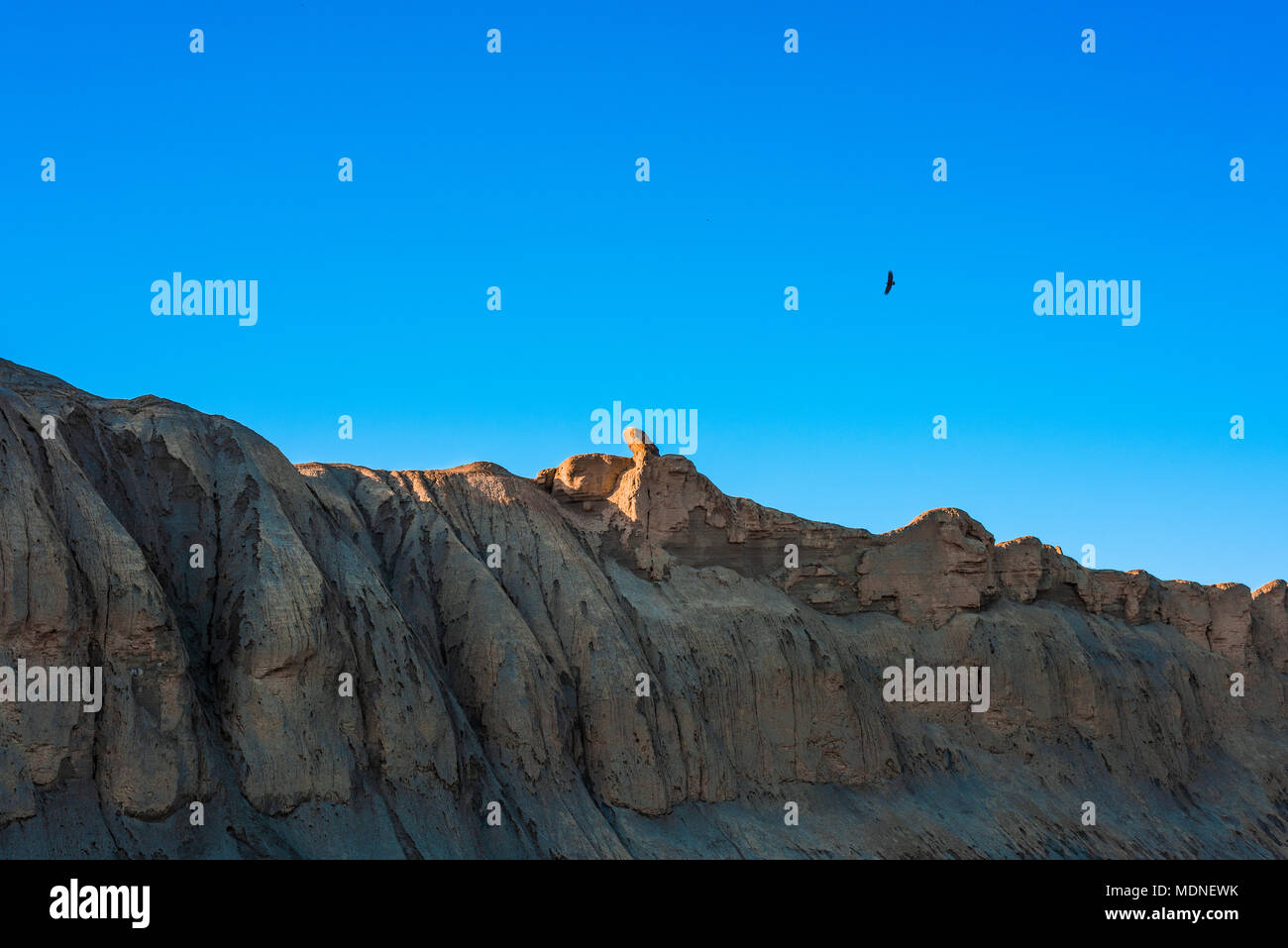 Eagle in flight over rocks Stock Photo