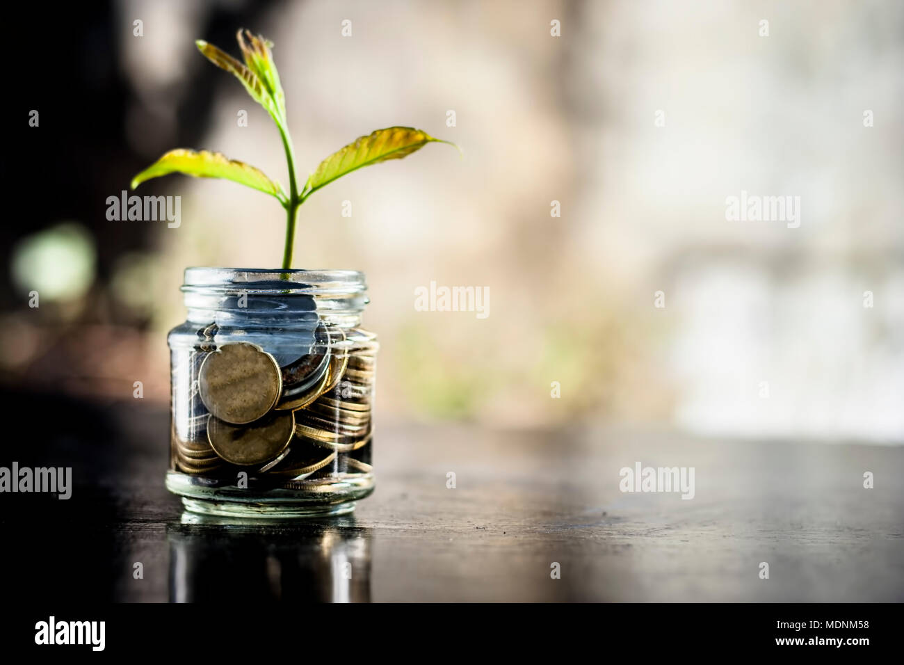 A glass jar full of coins and plant growing through it.  Concept of savings, interest,  fixed deposits, pension,  social security cheque. Stock Photo