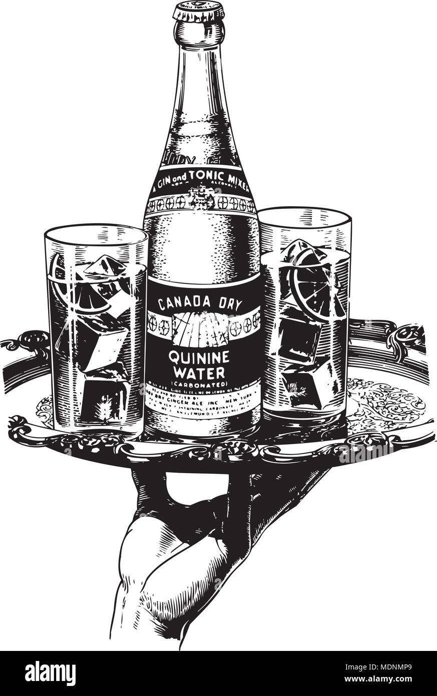 Canada Dry Quinine Water - Retro Clipart Illustration Stock Vector