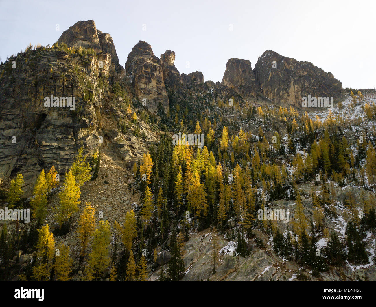 Sunrise on Liberty Bell Mountain illuminates the fall color larches in the North Cascades of Washington State. Stock Photo