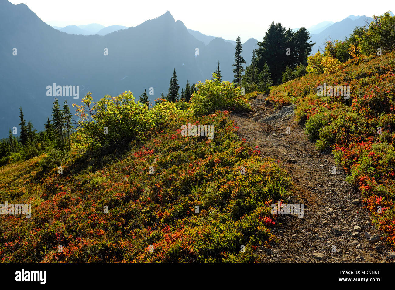 Mt. Dickerman trail in Washington's North Cascade mountains. Stock Photo