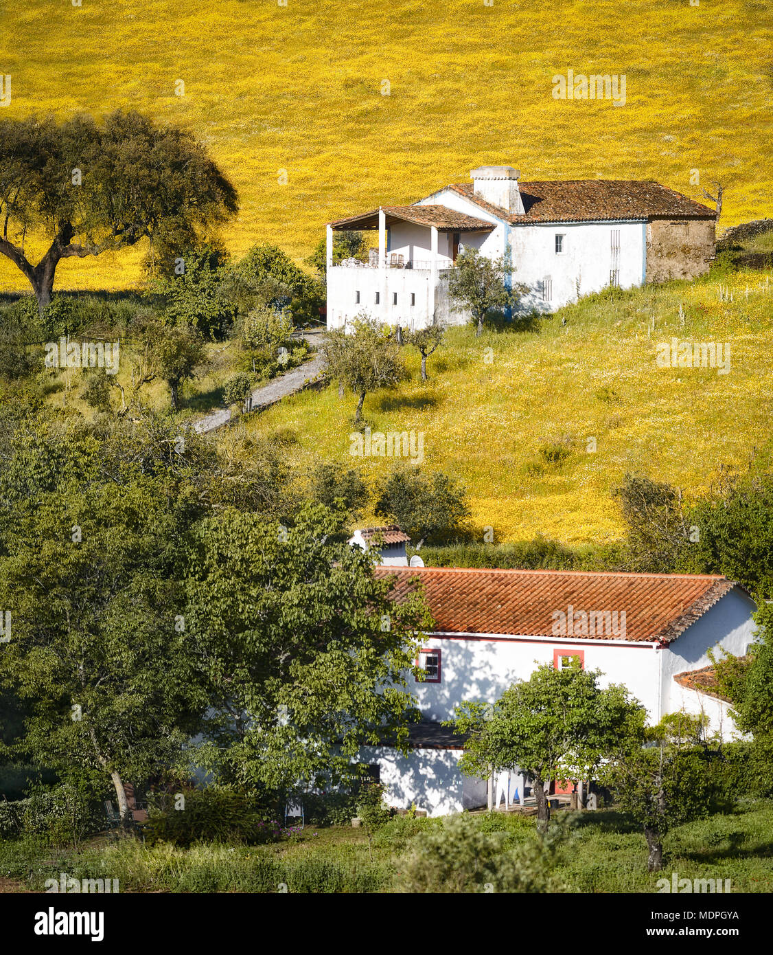 Type of rural house on yellow hill. Stock Photo