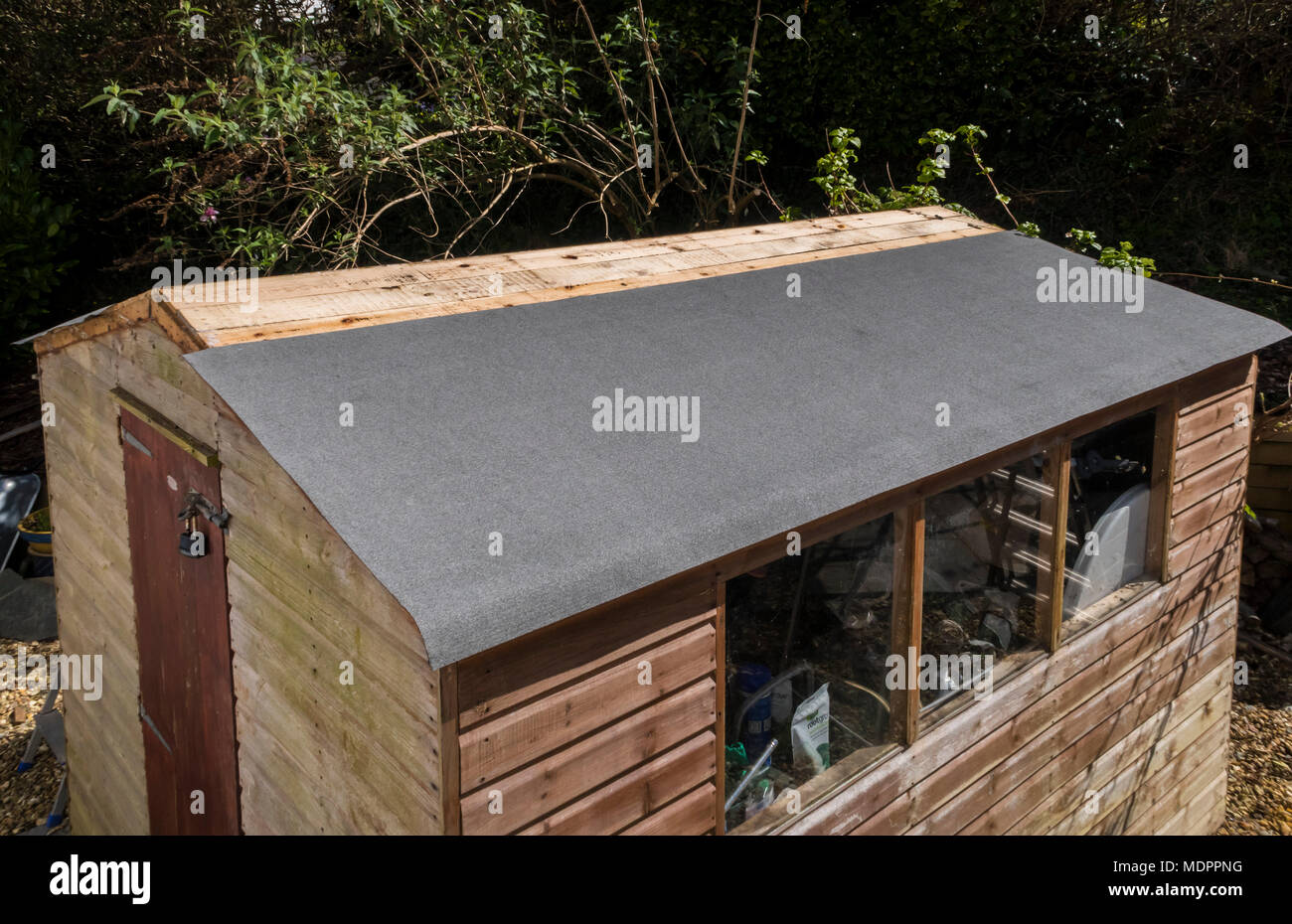 Repairing a leaky garden shed with new mineral coated roofing felt. Stock Photo