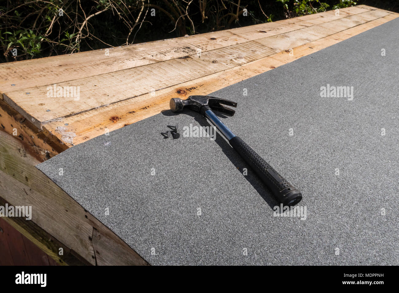 Repairing a leaking shed roof. Claw hammer and clout nails on top of  new mineral coated roofing felt with overlap. Stock Photo