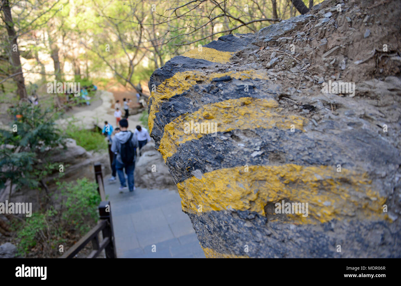 A protruding rock is painted with warning flashes to prevent people bumping their heads in the Swamp Cypress garden in Beijing Botanic Garden, China Stock Photo