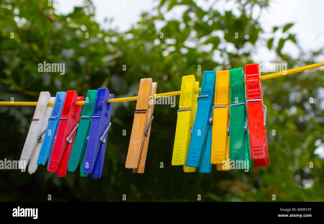 Colorful clothespins hanging on a clothesline. The pegs are made of plastic, only one in the middle is an extraordinary wooden. In the background are  Stock Photo