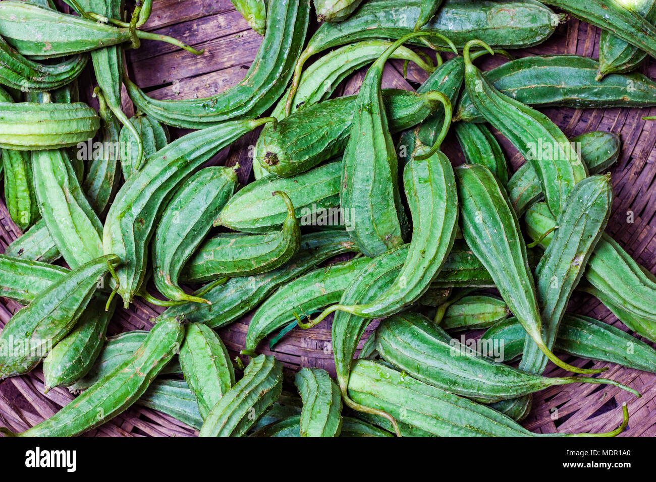 Ridge Gourd - Northern Meadows