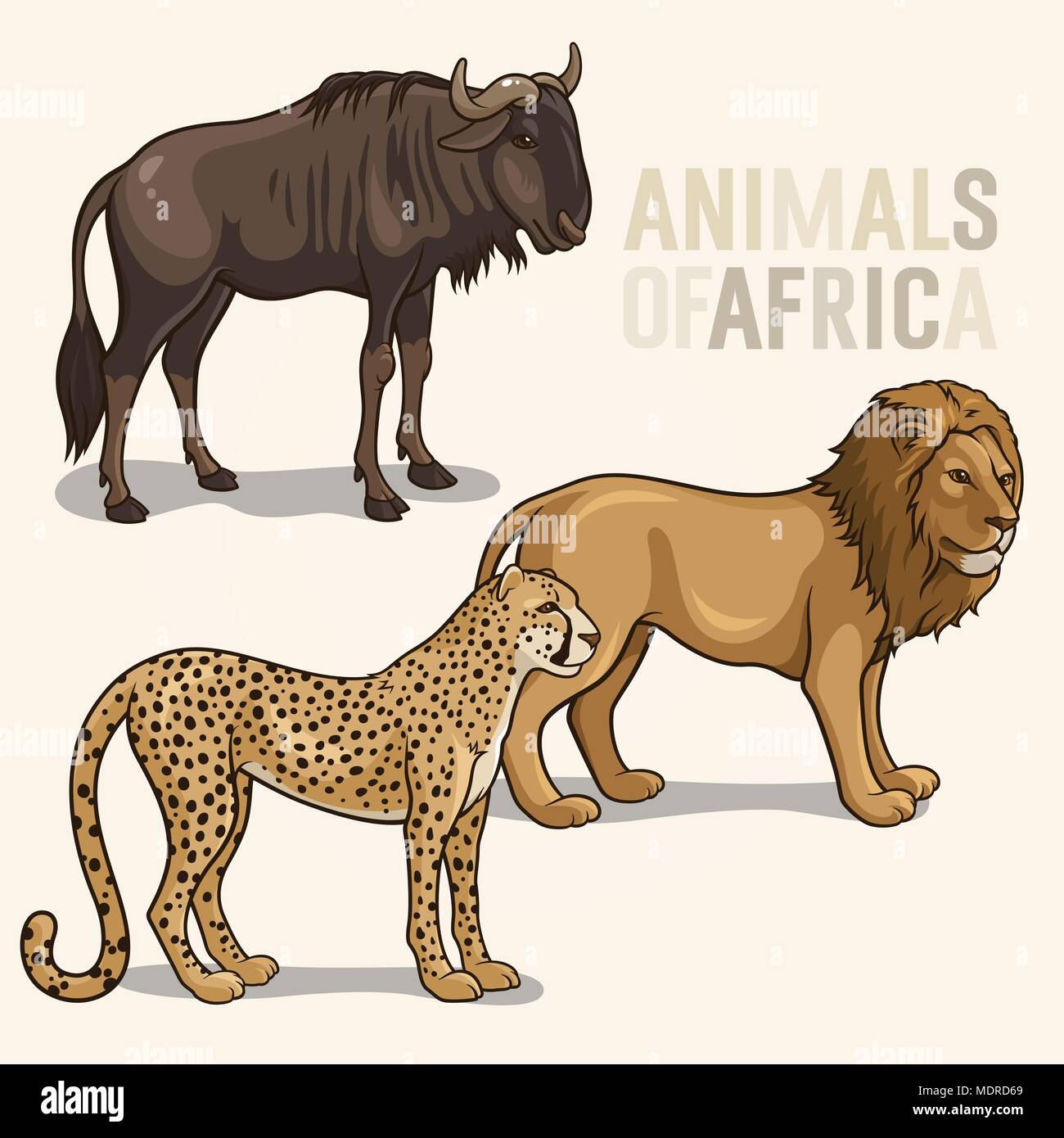 Vector illustrations of african animals isolated on a light background; lion, cheetah, wildebeest Stock Vector