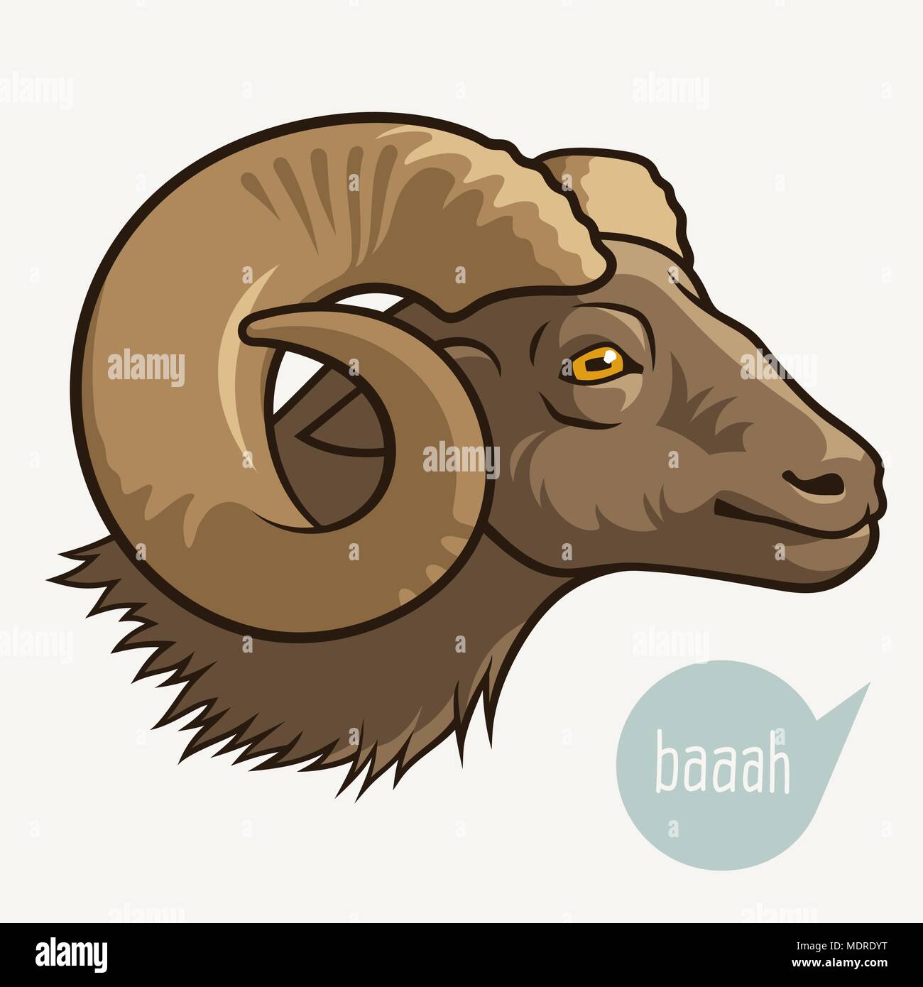 Head of sheep or ram . This vector illustration can be used as a print on T-shirts or other uses Stock Vector