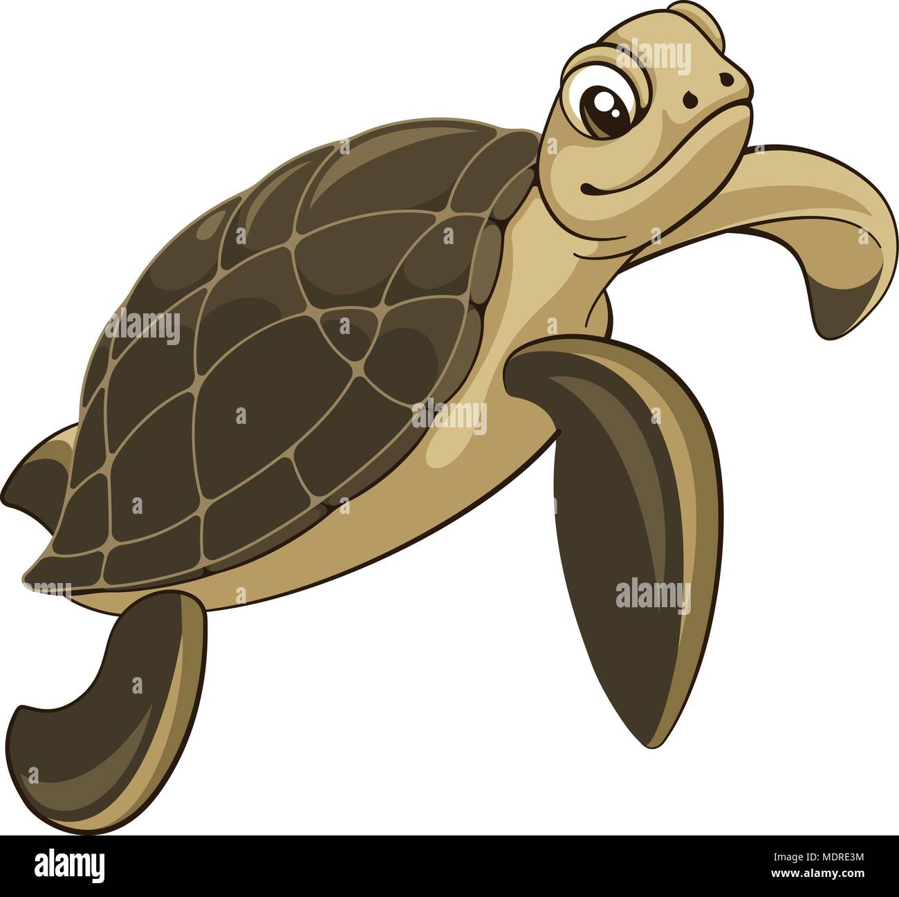 Vector illustration of a sea turtle isolated on white Stock Vector