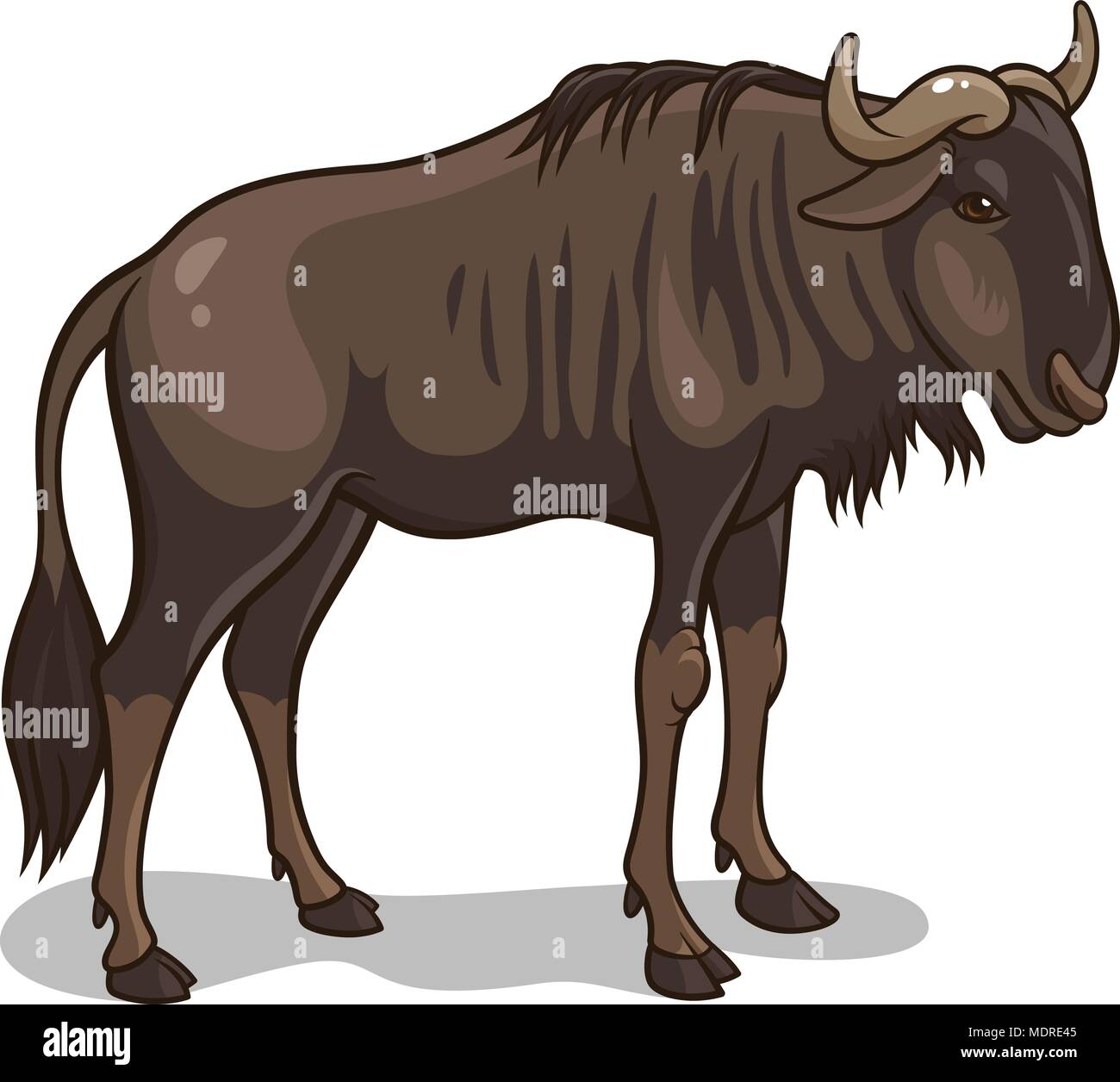 Vector illustration of an african wildebeest isolated on white Stock Vector
