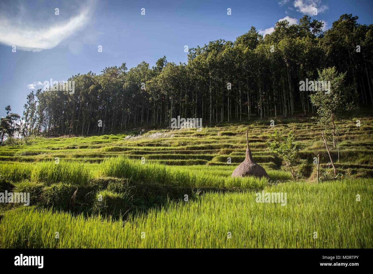A vivid blue sky with clouds and lens flare over rice terraces in the Dhading District of Nepal Stock Photo