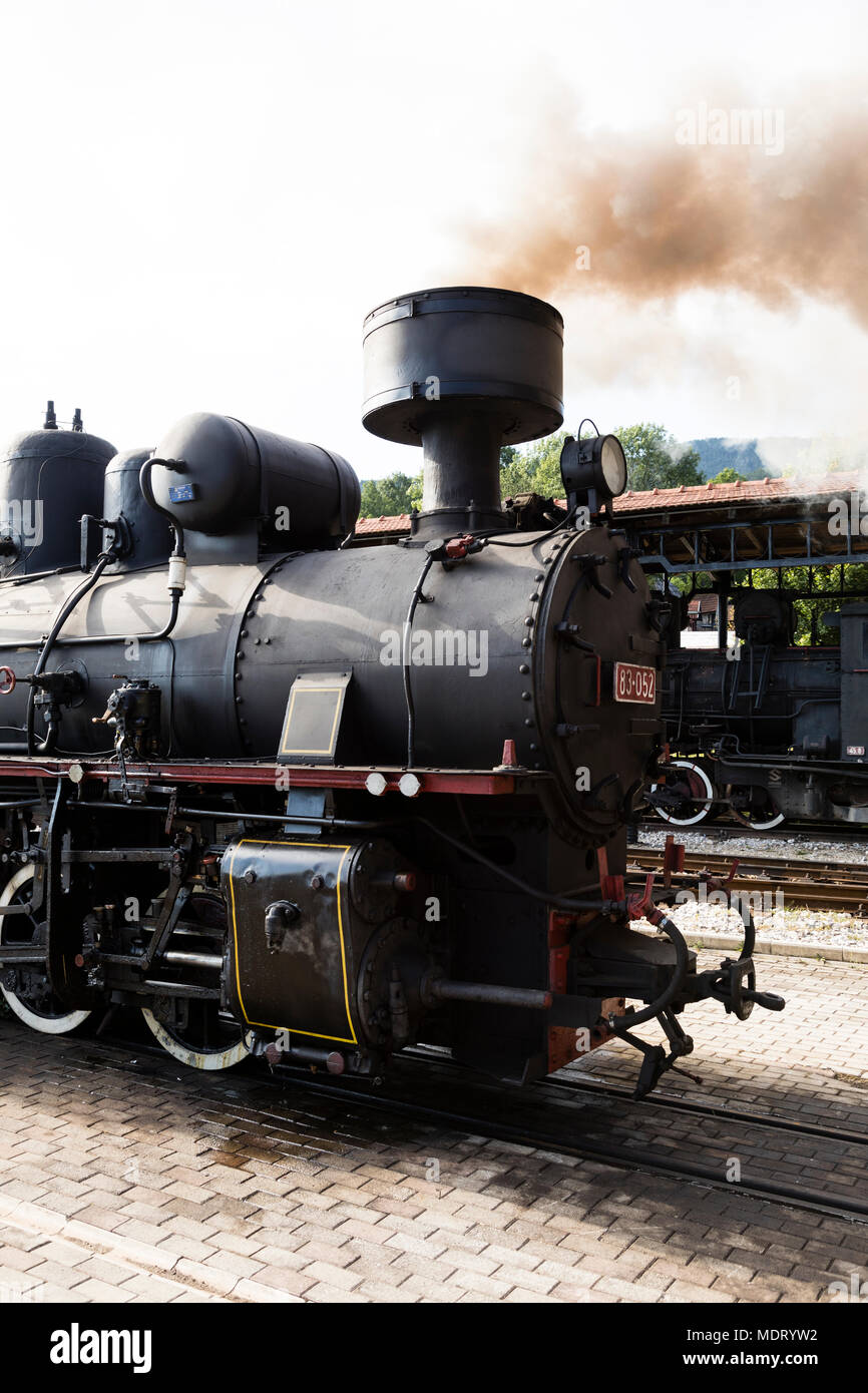 Sargan Vitasi, Serbia, July 17 2017: Detailed view of a smoking steam ...