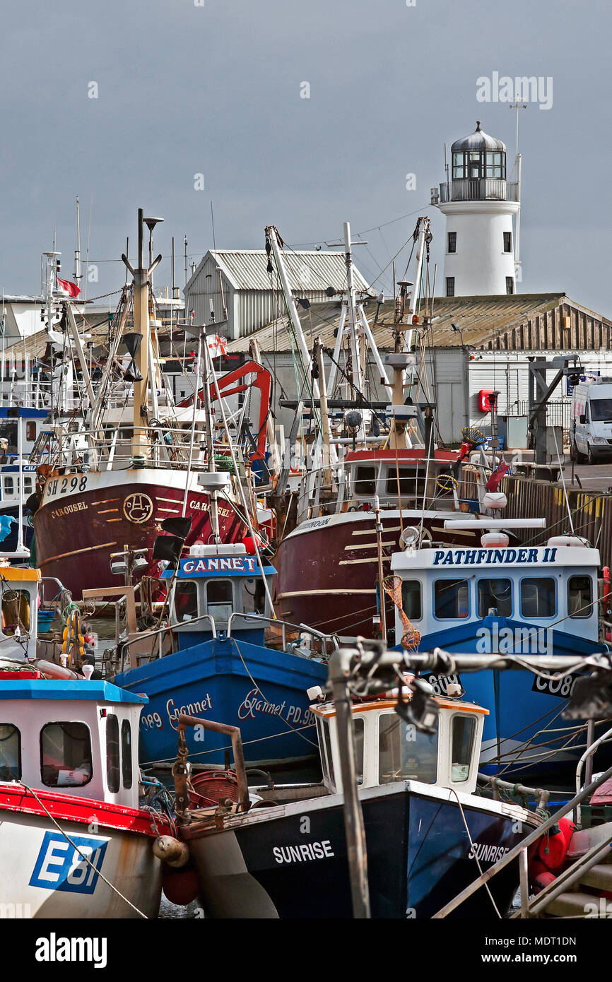 Scarborough fish hires stock photography and images Alamy