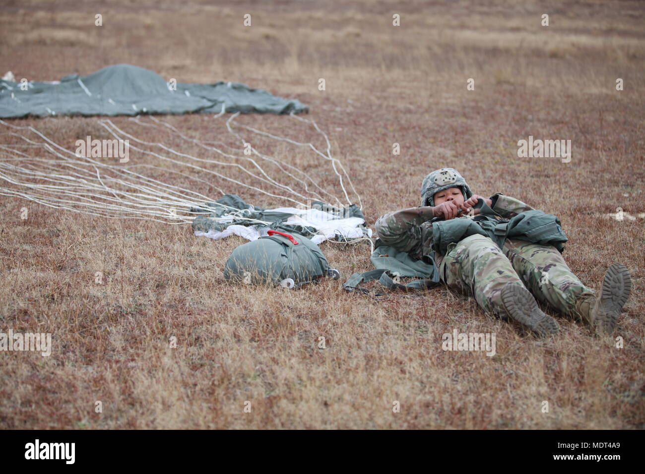 503rd military police battalion airborne hi-res stock photography and ...