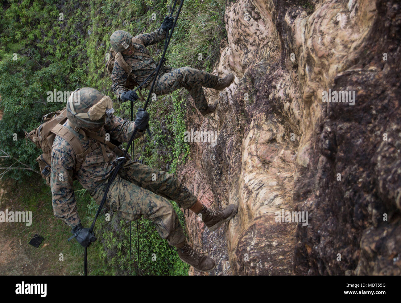 U.S. Marines rappel during the rappel phase of the 3rd Marine Division ...