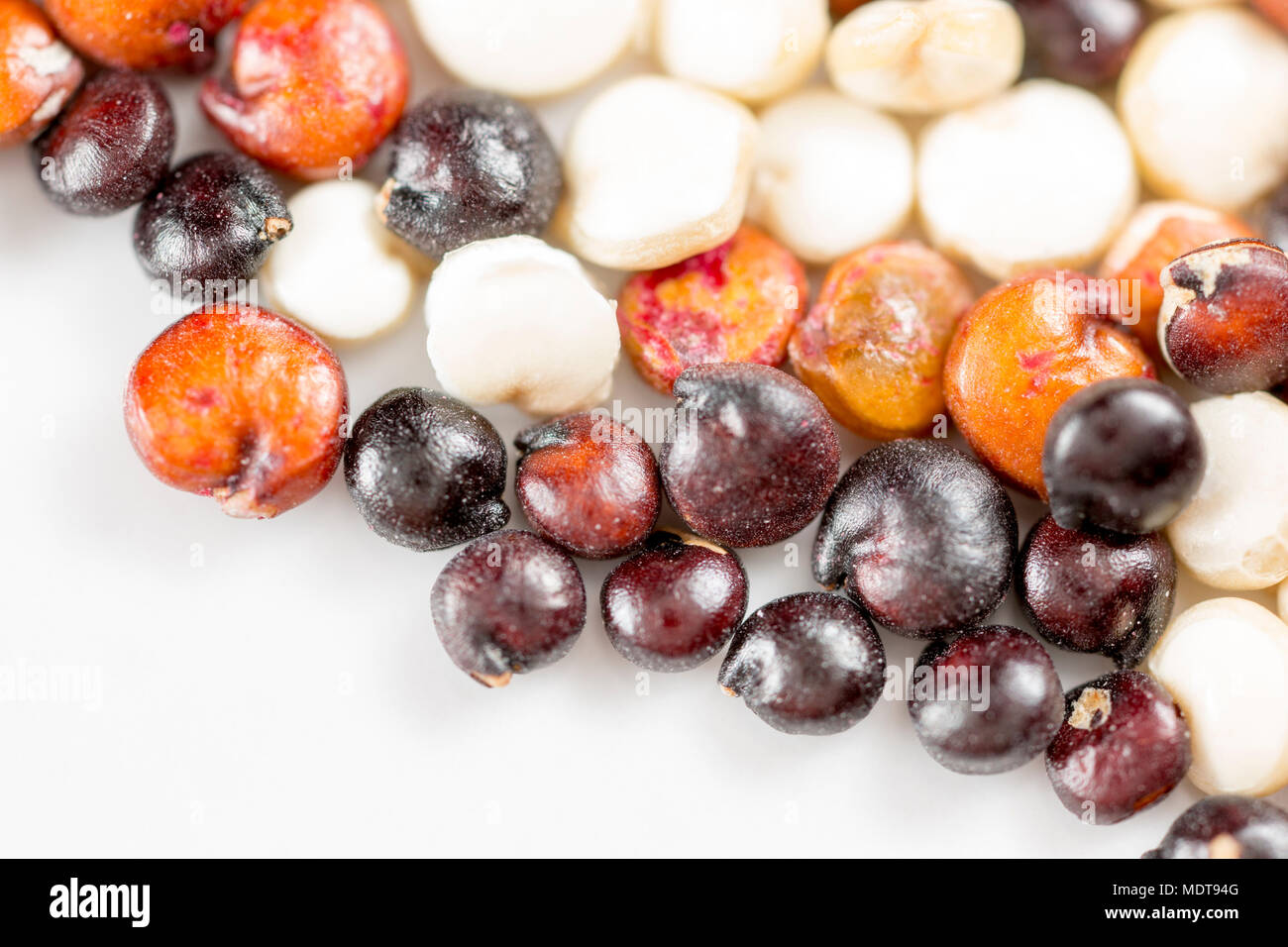 White, black and red quinoa seeds Chenopodium quinoa from a supermarket