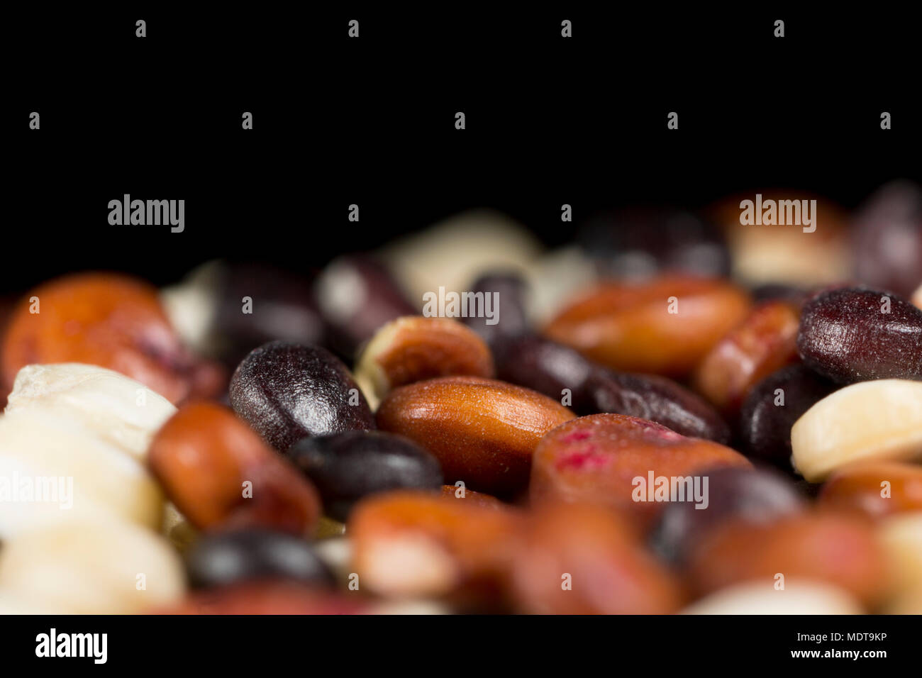 White, black and red quinoa seeds Chenopodium quinoa from a supermarket