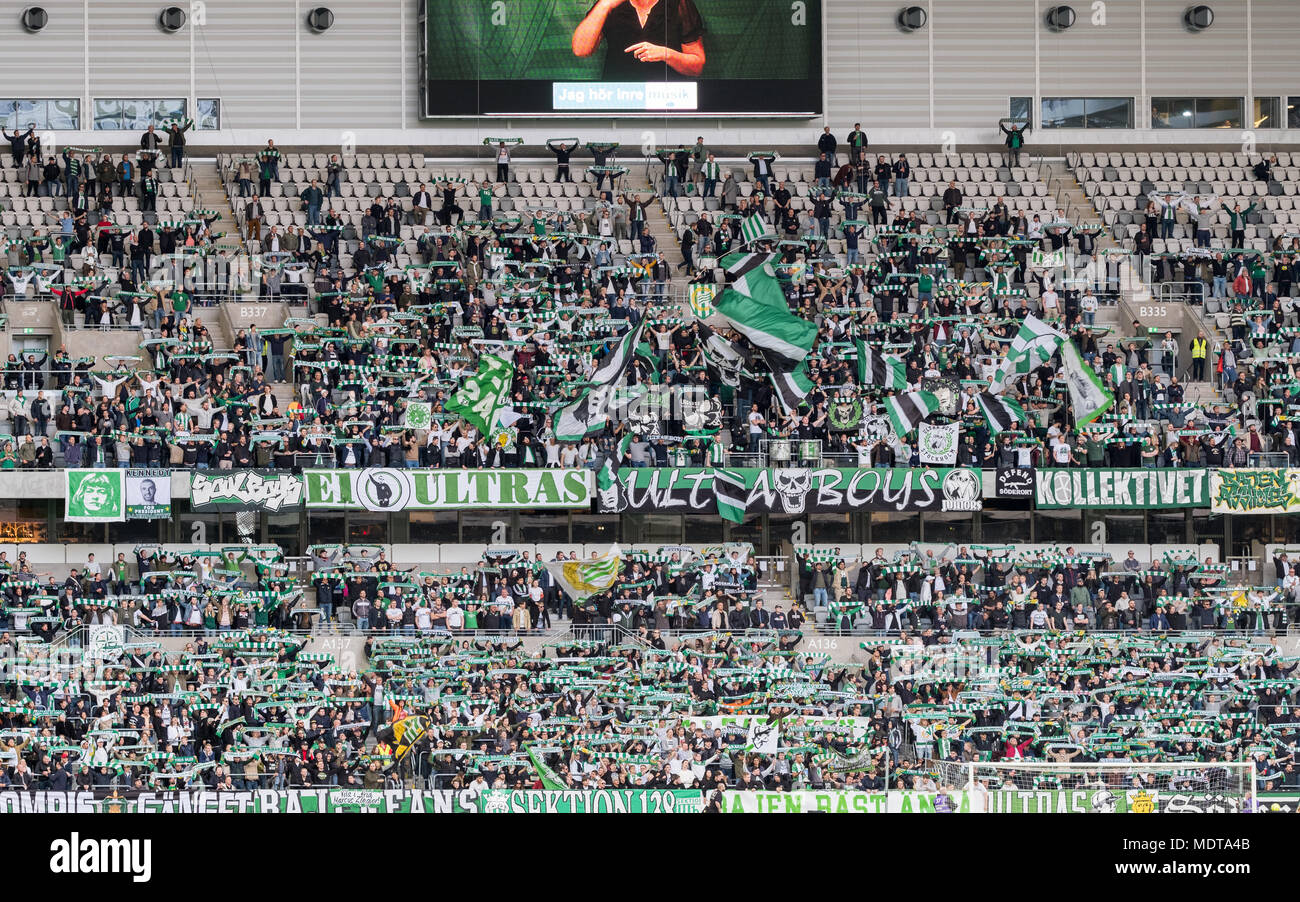 Hammarby fans at Tele2 arena  in Stockholm seating duringa  football game Stock Photo