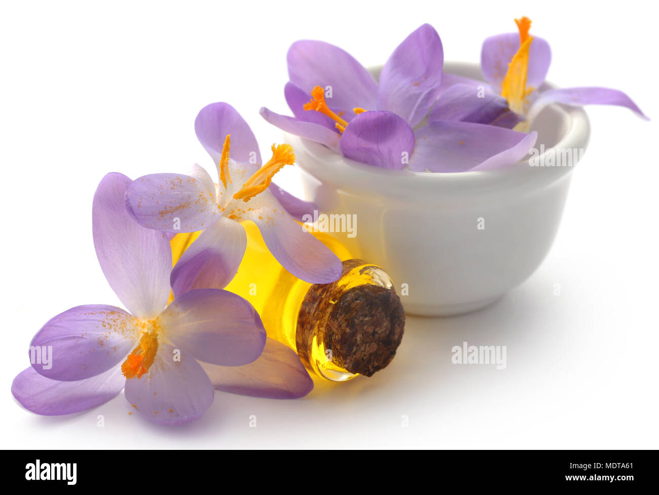 Saffron crocus flower with extract in a bottle over white Stock Photo